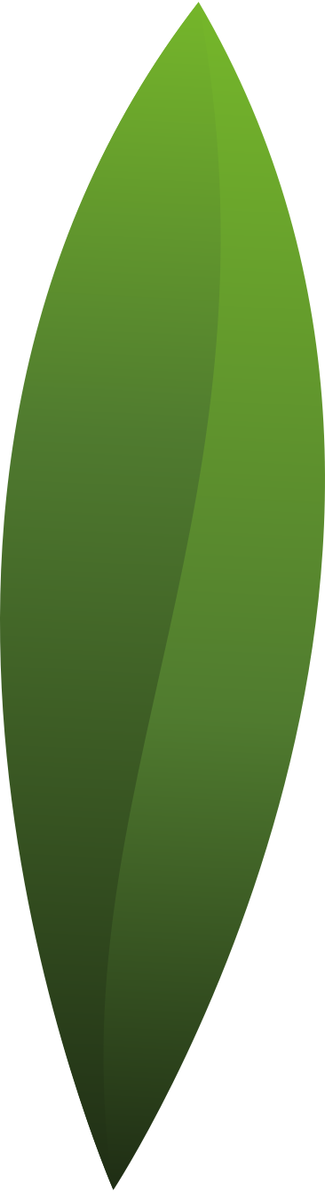 one small green leaf PNG, SVG