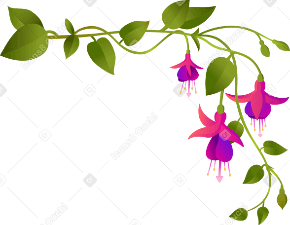 fuchsia flowers on a large corner twig PNG, SVG