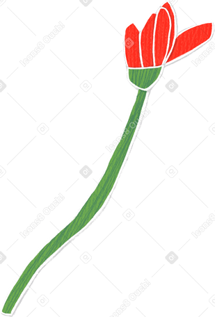 red bud on a long green stem Illustration in PNG, SVG