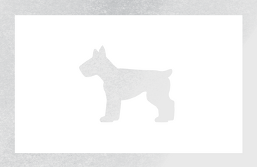 poster with a dog PNG, SVG