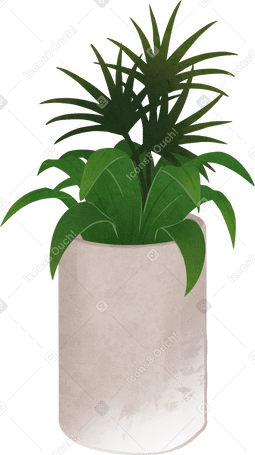 plant in concrete vase PNG, SVG