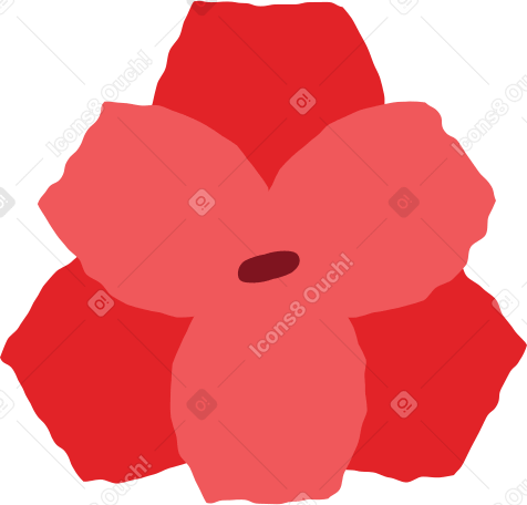 fiore di hippeastrum PNG, SVG