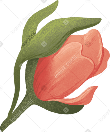 带叶子的小粉红玫瑰 PNG, SVG