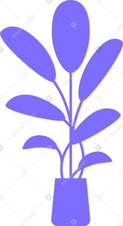 office plant with large rounded leaves Illustration in PNG, SVG