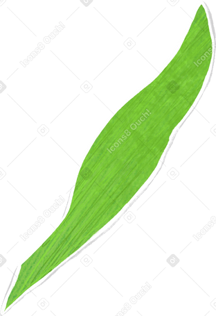 large light green leaf Illustration in PNG, SVG