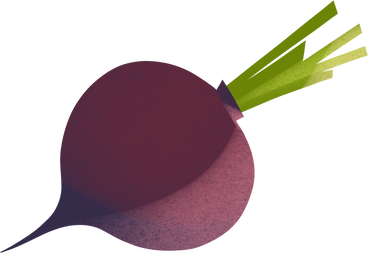 purple beetroot PNG, SVG