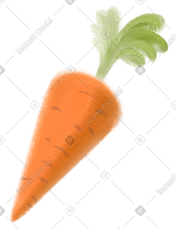 carrot PNG, SVG