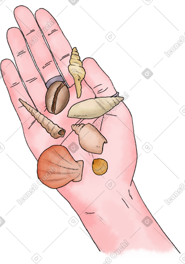 Arm with shells PNG, SVG