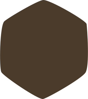 Brown hexagon в PNG, SVG