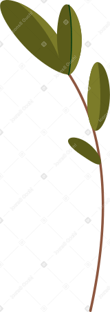 herb Illustration in PNG, SVG