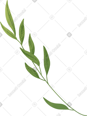 Large light green curved twig PNG, SVG