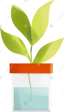 flask with plant Illustration in PNG, SVG