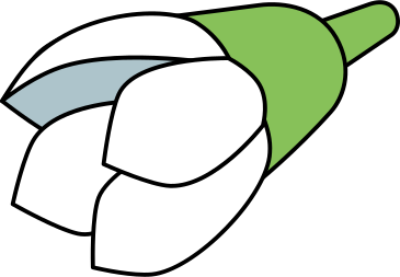 цветочный бутон в PNG, SVG
