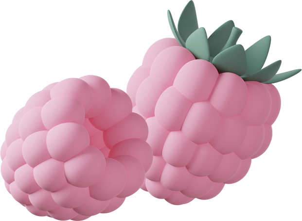 Pink raspberries  Illustration in PNG, SVG