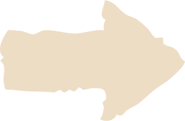 beige arrow shape PNG, SVG