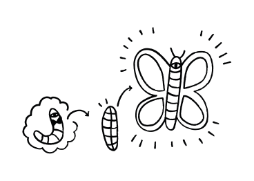 蝶の幼虫から蛹への変化 PNG、SVG