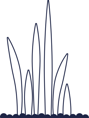 graspflanze animierte Grafik in GIF, Lottie (JSON), AE