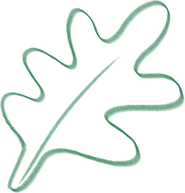 doodle leaf PNG, SVG