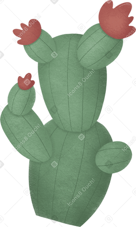 cactus Illustration in PNG, SVG
