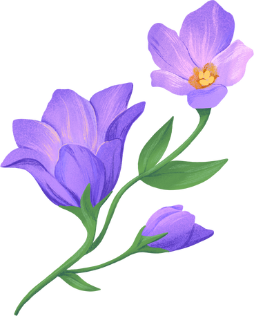 sprig of eustoma with three lilac flowers PNG, SVG