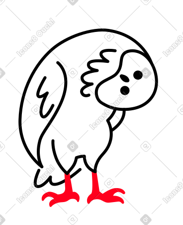 猫头鹰 PNG, SVG