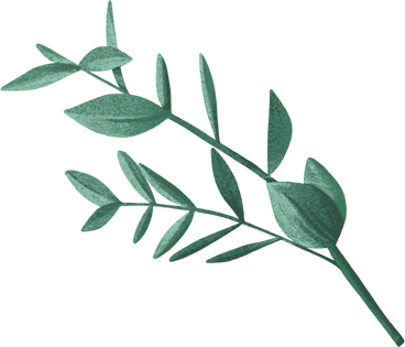 Rameau décoratif vert foncé à feuilles ovales PNG, SVG