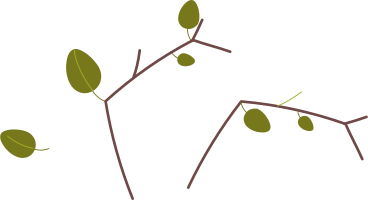 branches leaves PNG, SVG