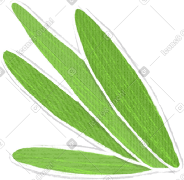 Green leaves in bunches PNG, SVG