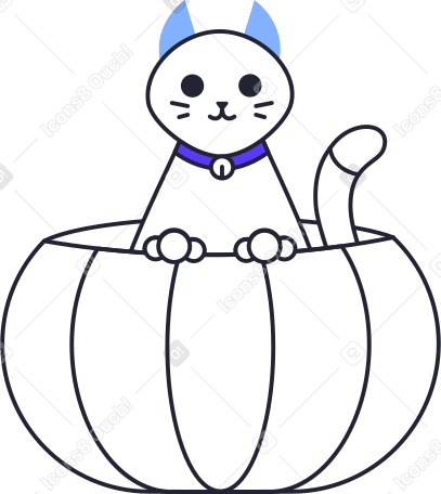 Gato em uma abóbora PNG, SVG