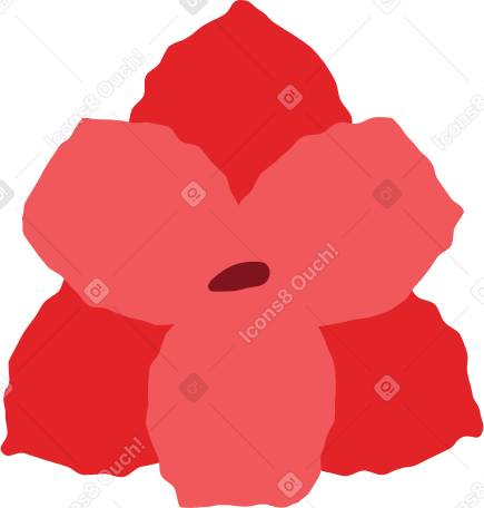 flor de hippeastrum PNG, SVG
