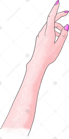 left hand with pink manicure PNG, SVG