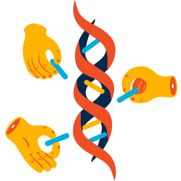 Hands building a dna chain PNG, SVG
