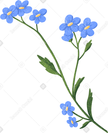 twig of forget-me-nots with blue flowers в PNG, SVG