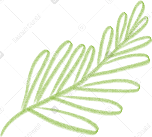 fern leaf Illustration in PNG, SVG