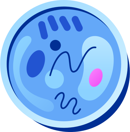 petri dish Illustration in PNG, SVG