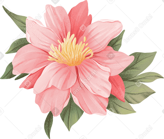 large pink fluffy flower with yellow pistils PNG, SVG