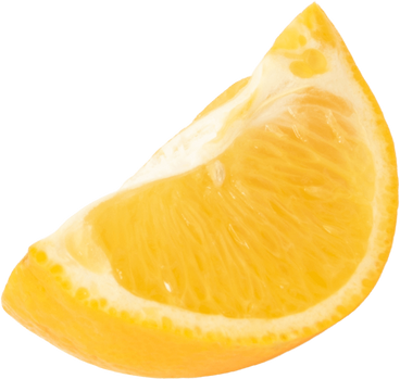 Lemon slice PNG, SVG