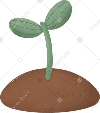 sprout PNG, SVG
