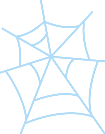 spinnennetz PNG, SVG