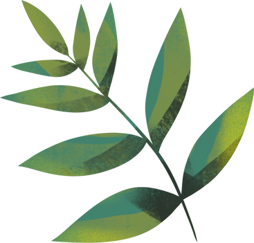 foliage PNG, SVG