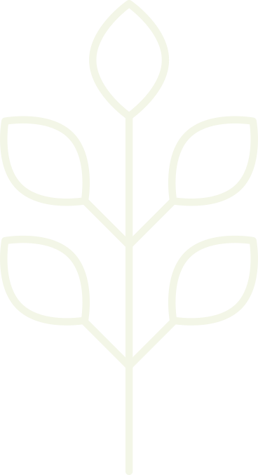 식물 PNG, SVG