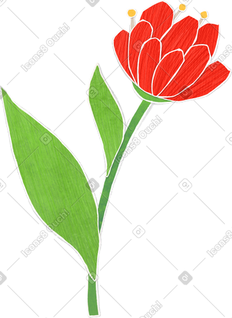 large blooming red flower on a long stalk with a green leaf PNG, SVG