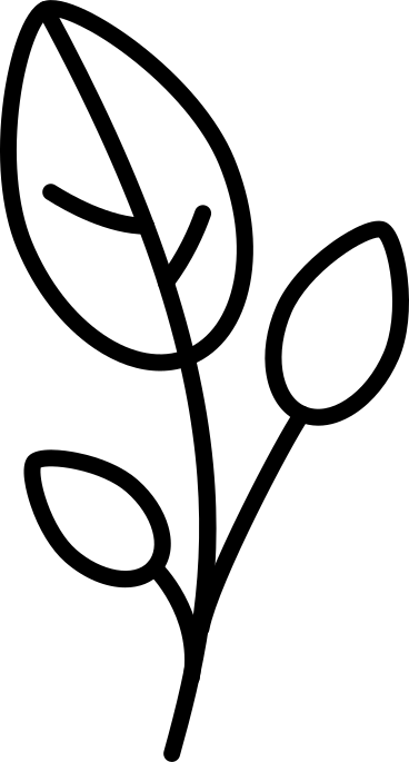 branch with leaves PNG, SVG