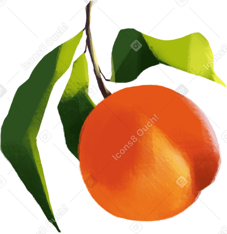peach on branch PNG, SVG