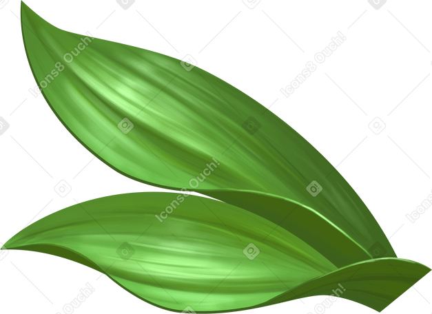 thick grass leaves PNG、SVG