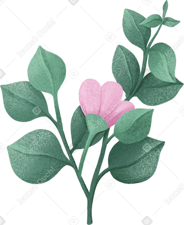 eucalyptus leaves with pink flower PNG、SVG