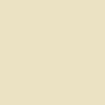beige square в PNG, SVG
