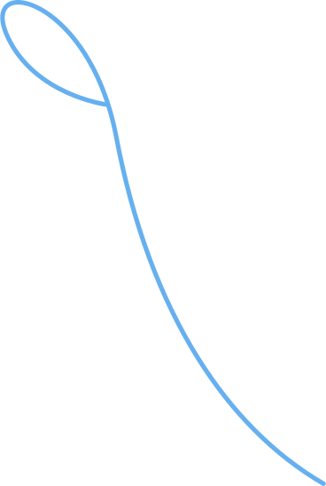 Поводок в PNG, SVG