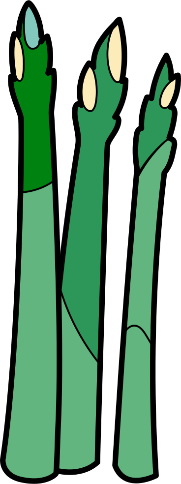 Asparagus PNG, SVG