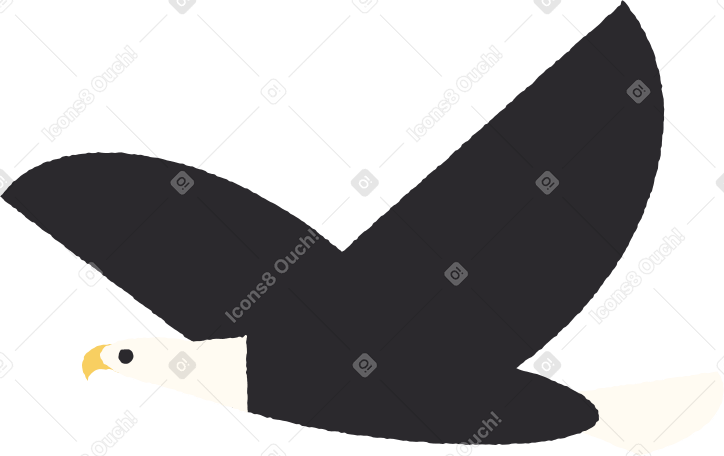 eagle PNG, SVG